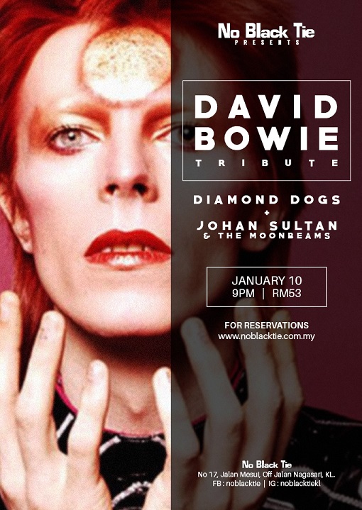 DAVID BOWIE TRIBUTE: DIAMOND DOGS + JOHAN SULTAN & THE MOONBEAM